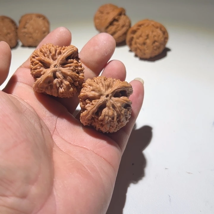 小***房文玩核桃把件蚂蚁王