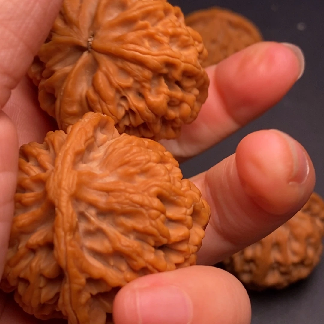 文玩核桃把件秦岭野生核桃