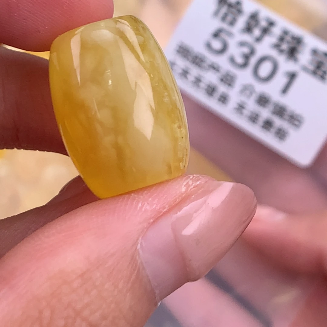 琥珀未镶嵌珠宝奇石15 19.7植物