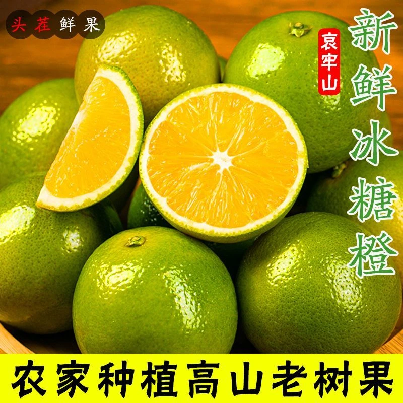 云南哀牢山青皮冰糖橙新鲜应季水果清甜多汁皮薄肉厚