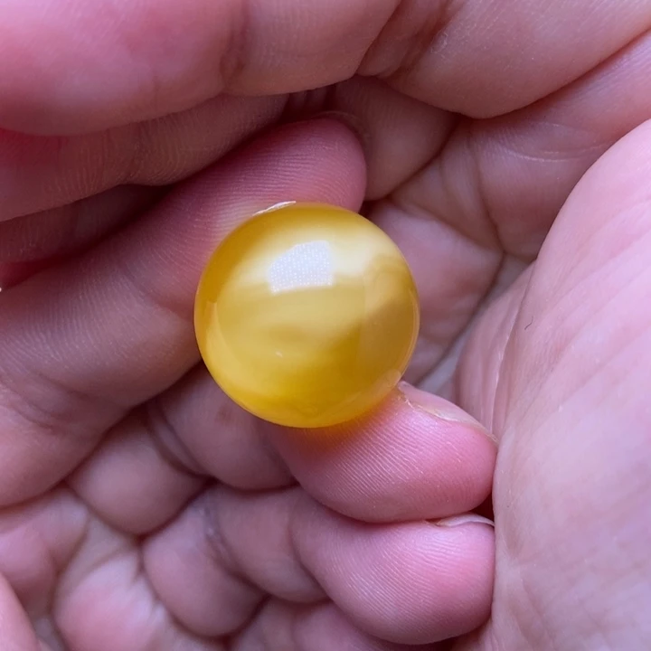 未镶嵌琥珀裸石蜜蜡3