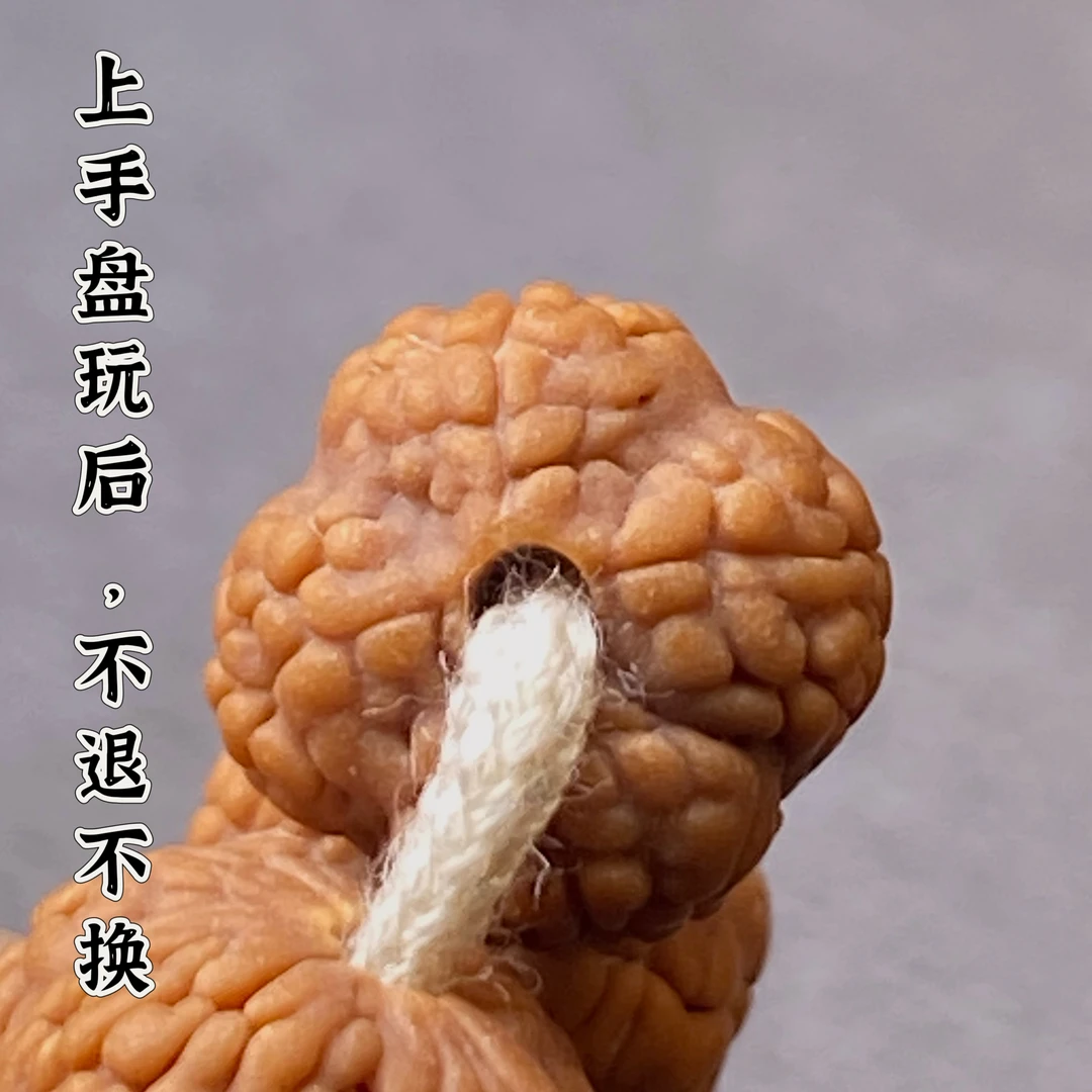 【四瓣龙鳞】印尼原生态龙鳞梅花小金刚108佛珠 尺寸约9mm