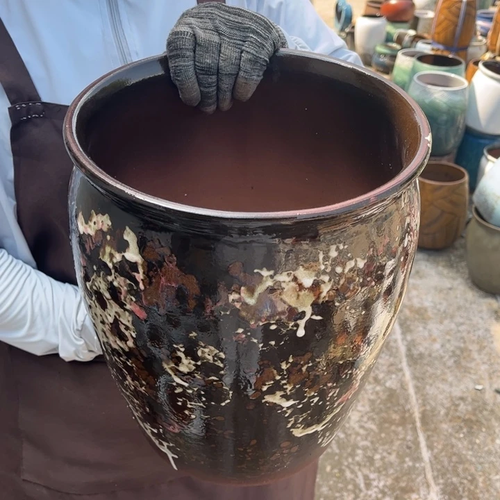 口25高31正品正品