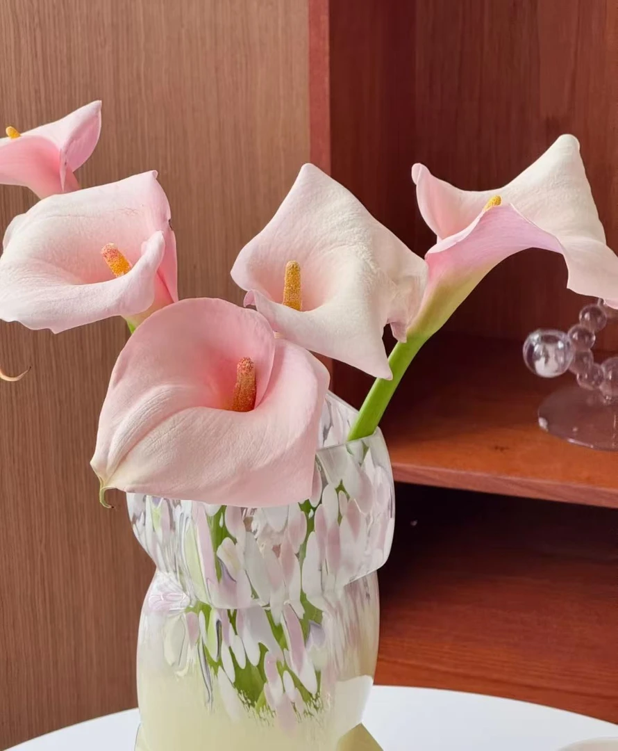 【小众高端火烈鸟马蹄莲鲜切花】小众高端客厅日常养花质感高级鲜花