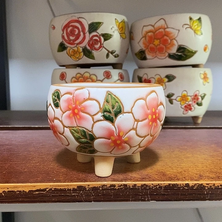 韩式多肉植物花盆