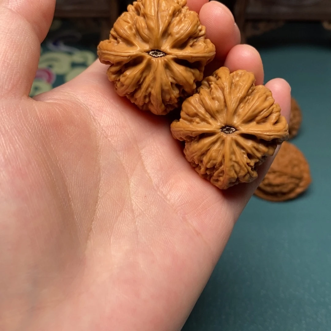 核桃36尺全品九龙