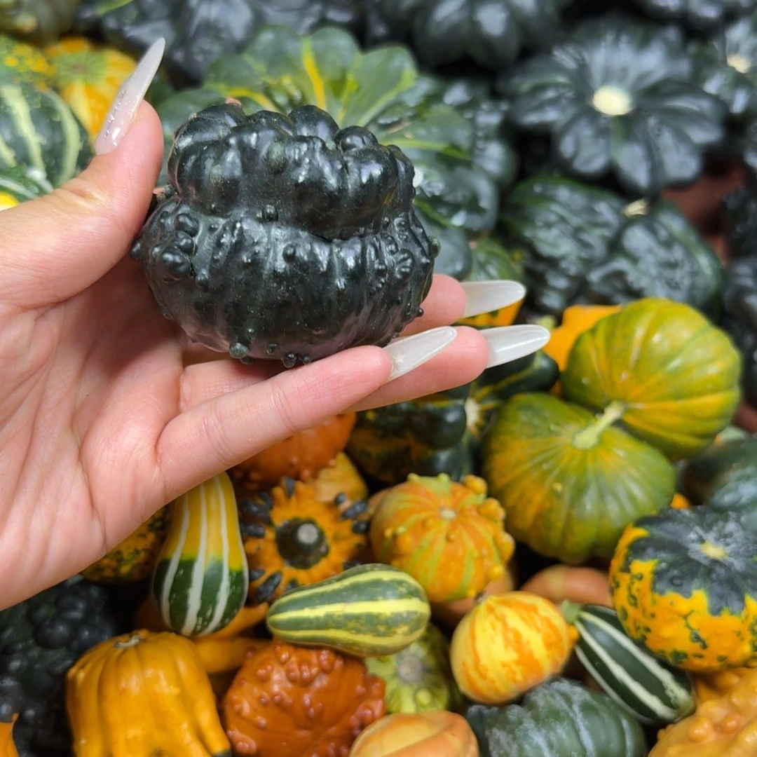 烟***冷饿哦饿哦饿哦饿哦饿哦