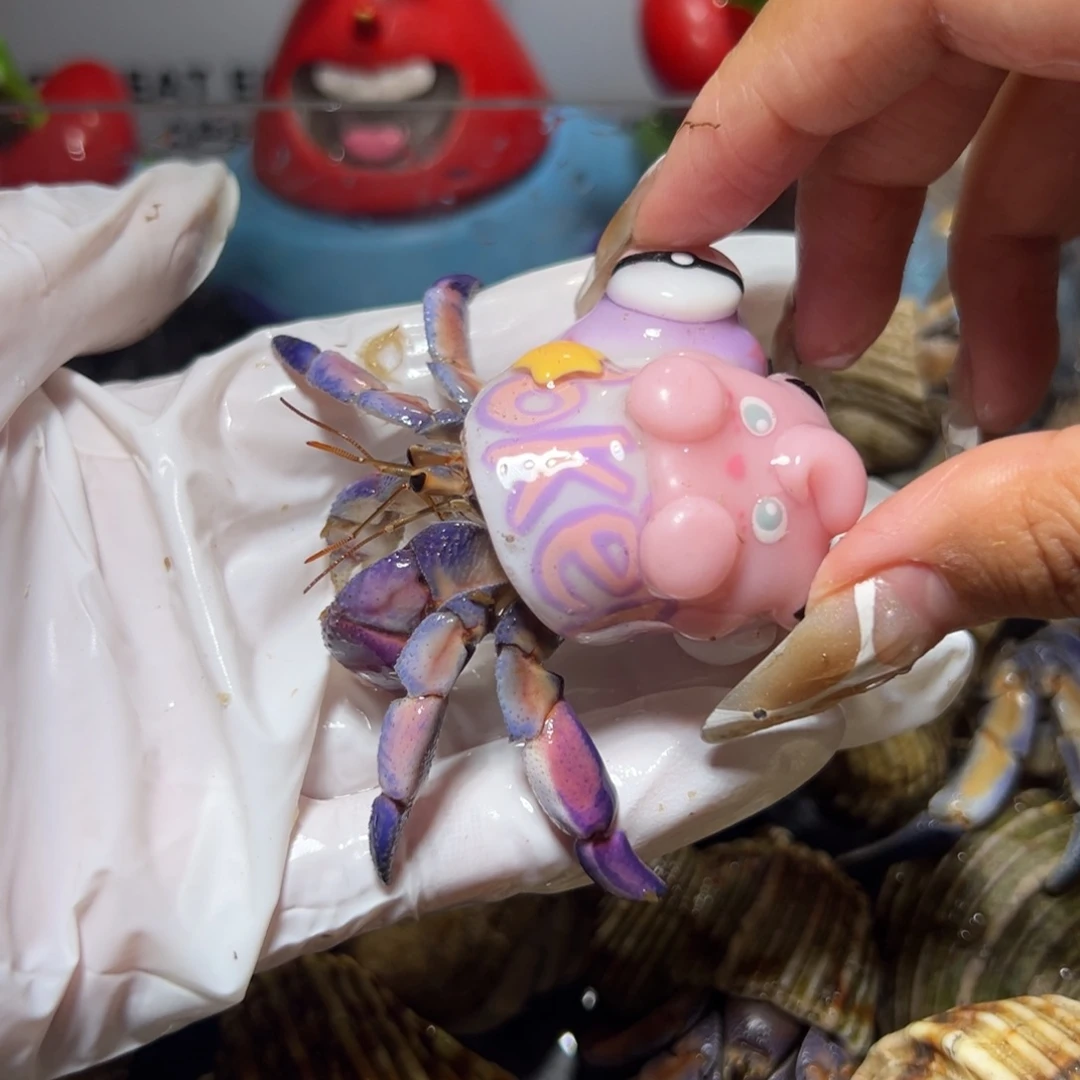 紫粉宝可梦口径2.5口