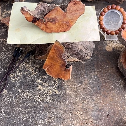 柏木（崖柏）闪购101