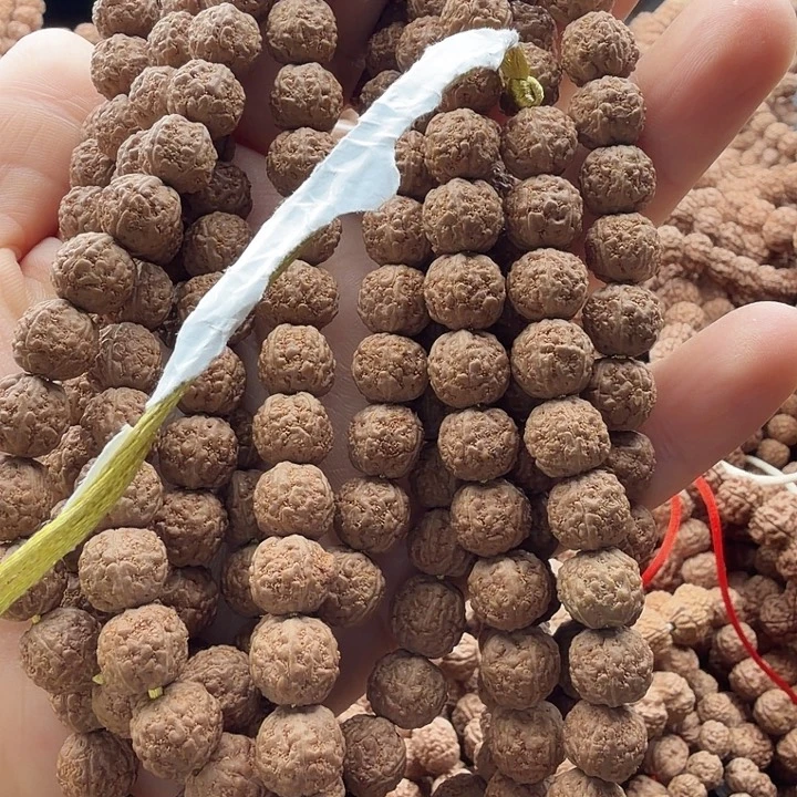 逸***君吊坠金刚菩提盘龙9+