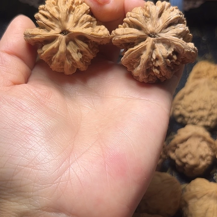 文玩核桃把件转***默41虎头