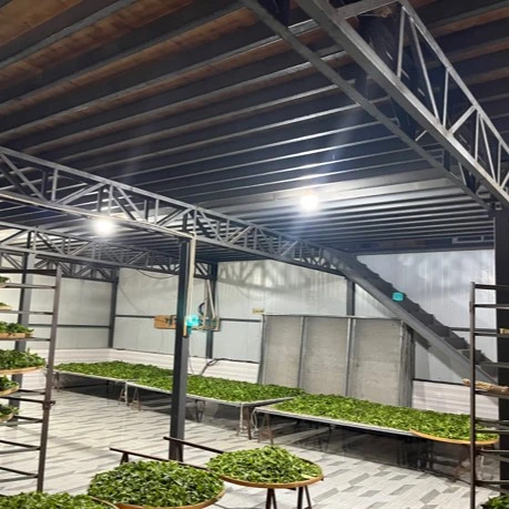 2025年【老章】羽毛种 秋茶小龙珠 云南普洱茶（生茶）±8克/颗