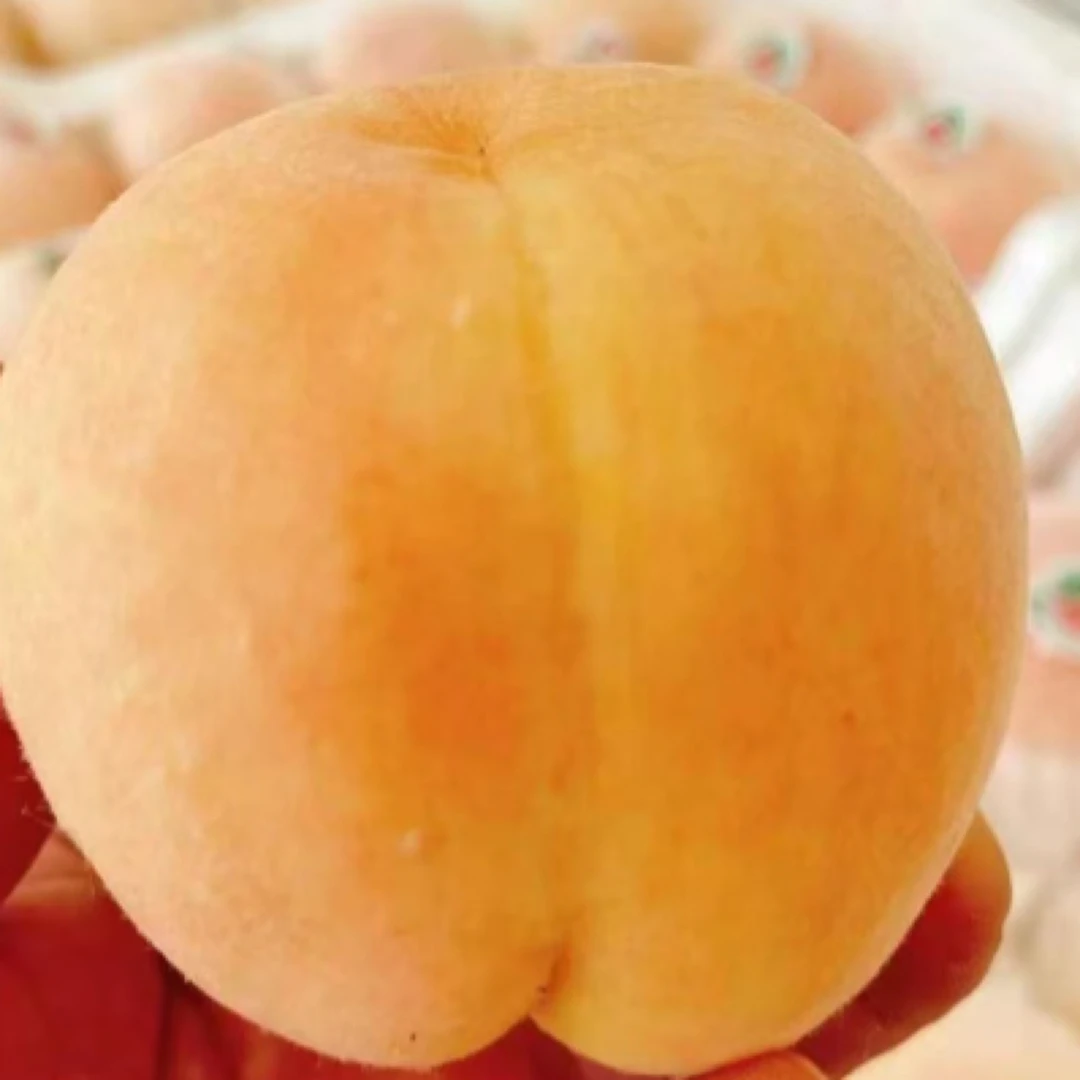 无锡水蜜桃 2.8-5.8斤/箱当季新鲜水果桃子桃子同城送江苏省