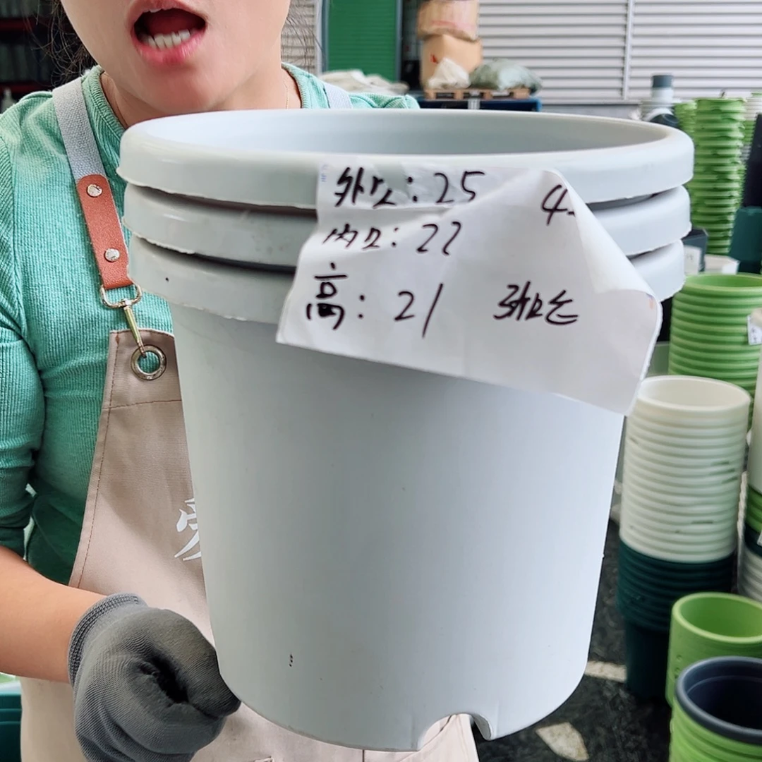 四季盆4#灰白色8个无托