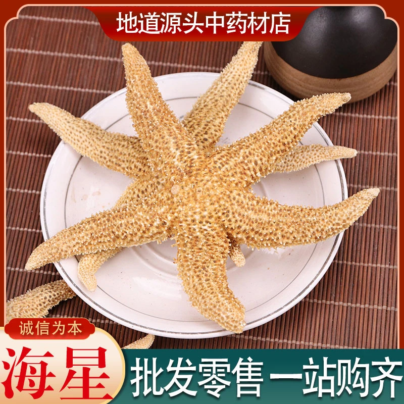 新货海星中药材干煲汤中药材批发海星个大货供应一件代发海五星