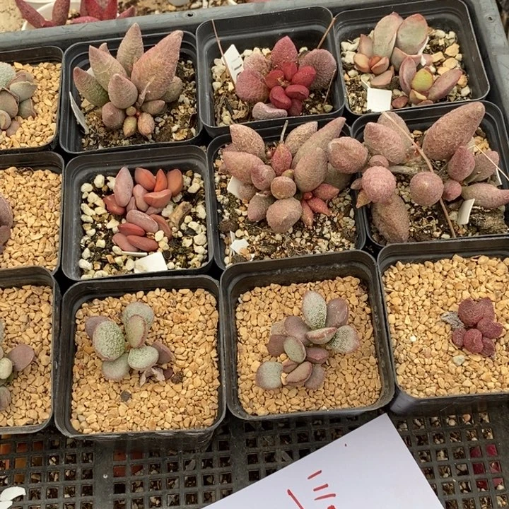 11101一组一组一组