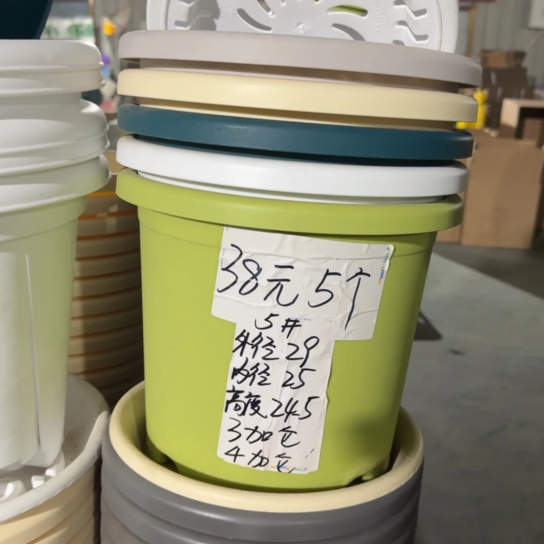 四季5#口径29无拖纯白10个