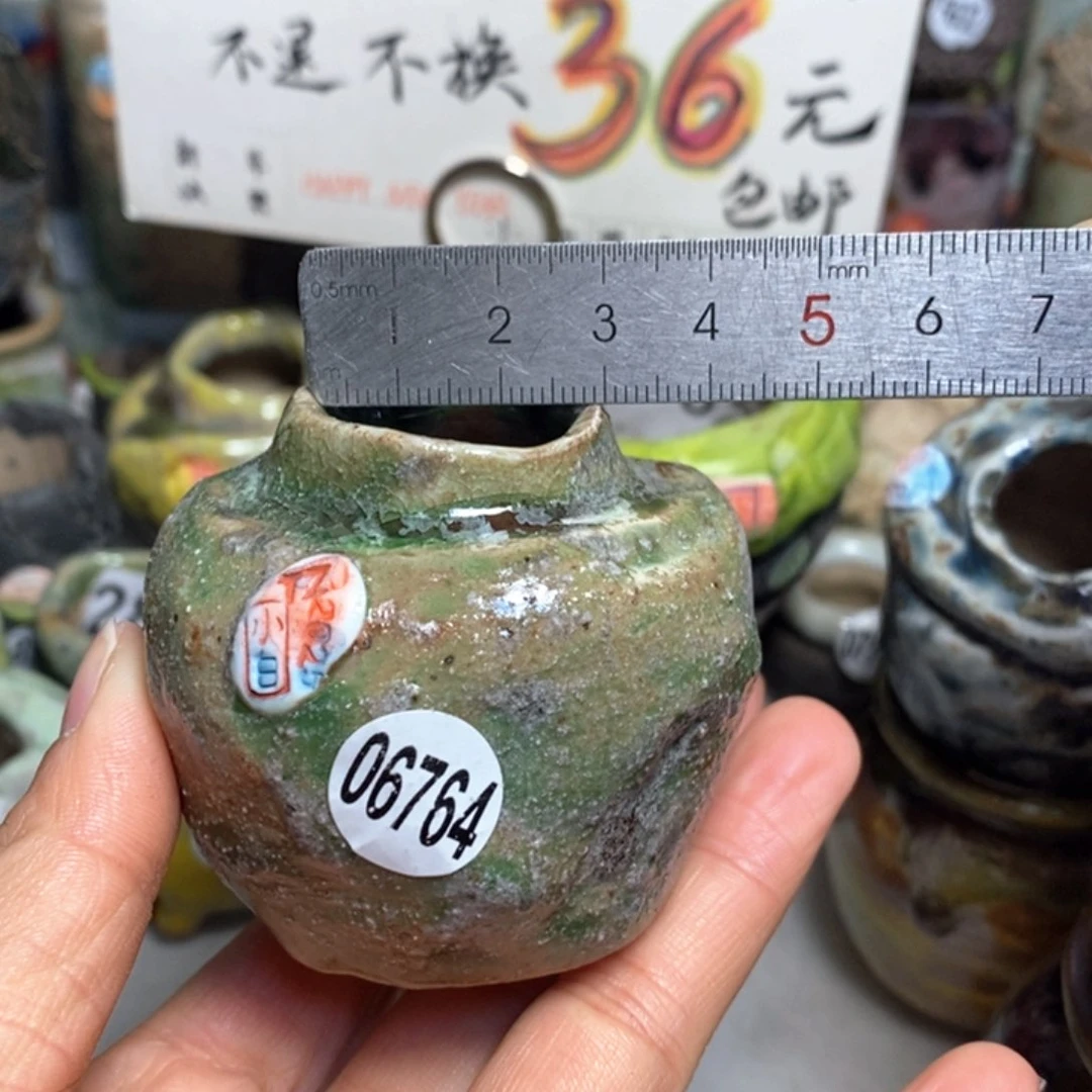 元旦活动花盆，不退不换的，原价48