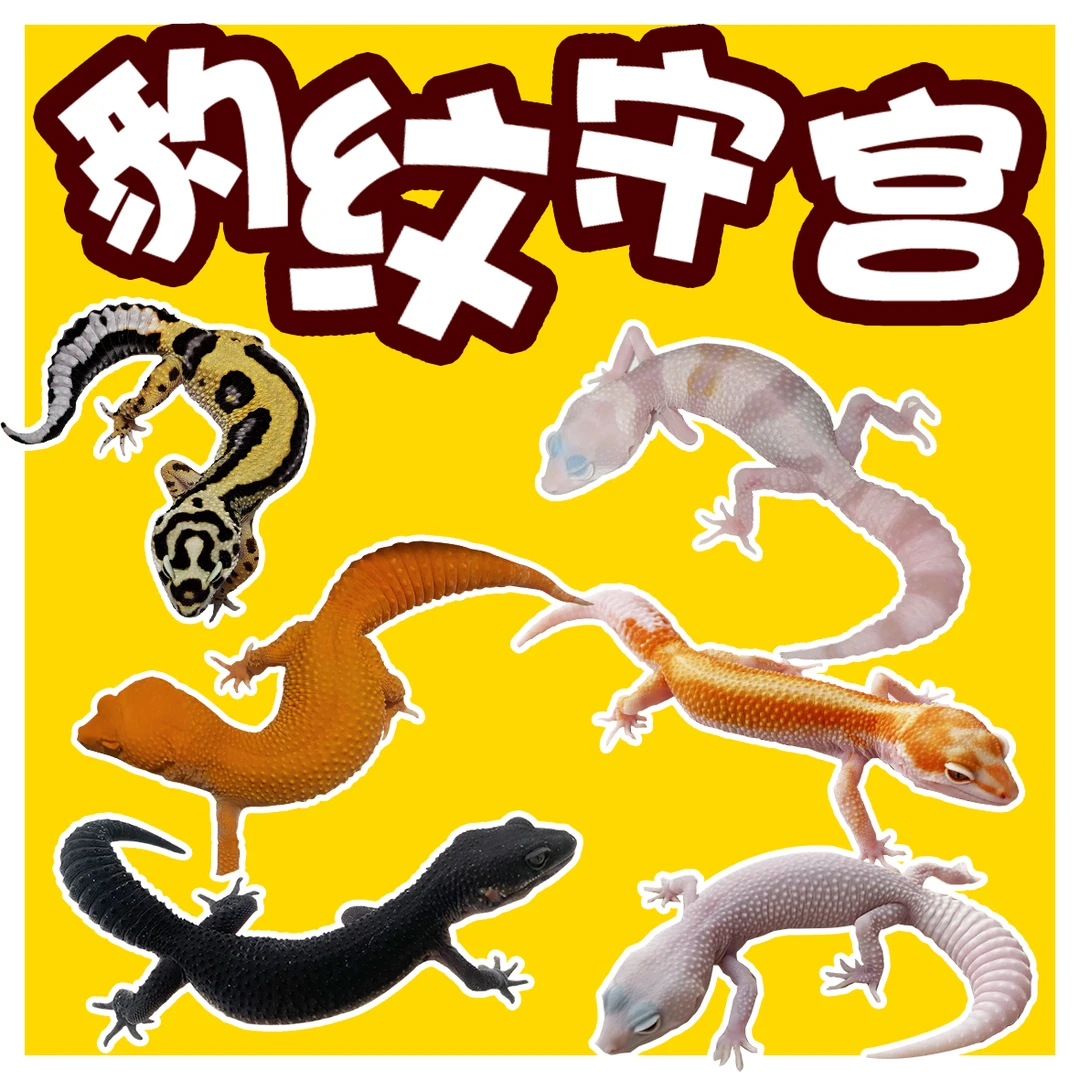 守宫宠物蜥蜴活体可爱温顺好养异宠桌面方便懒人爬宠入门新手