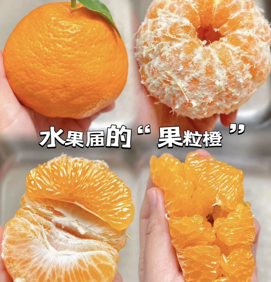【北纬35° 270天生长】精品春见柑橘 只摘顶果 3.5公斤