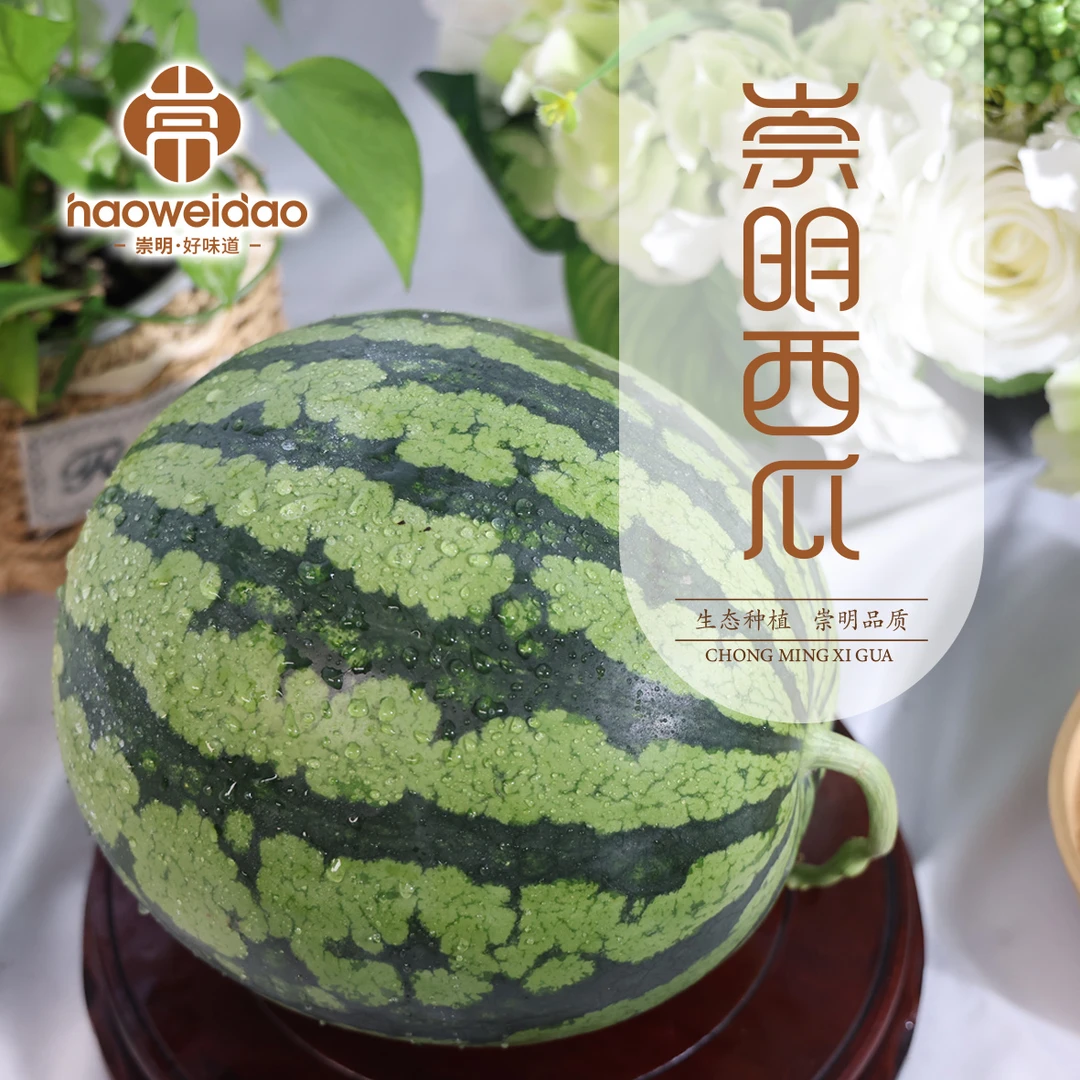 崇明好味道｜崇明黑仔西瓜（7-8斤/8-10斤）