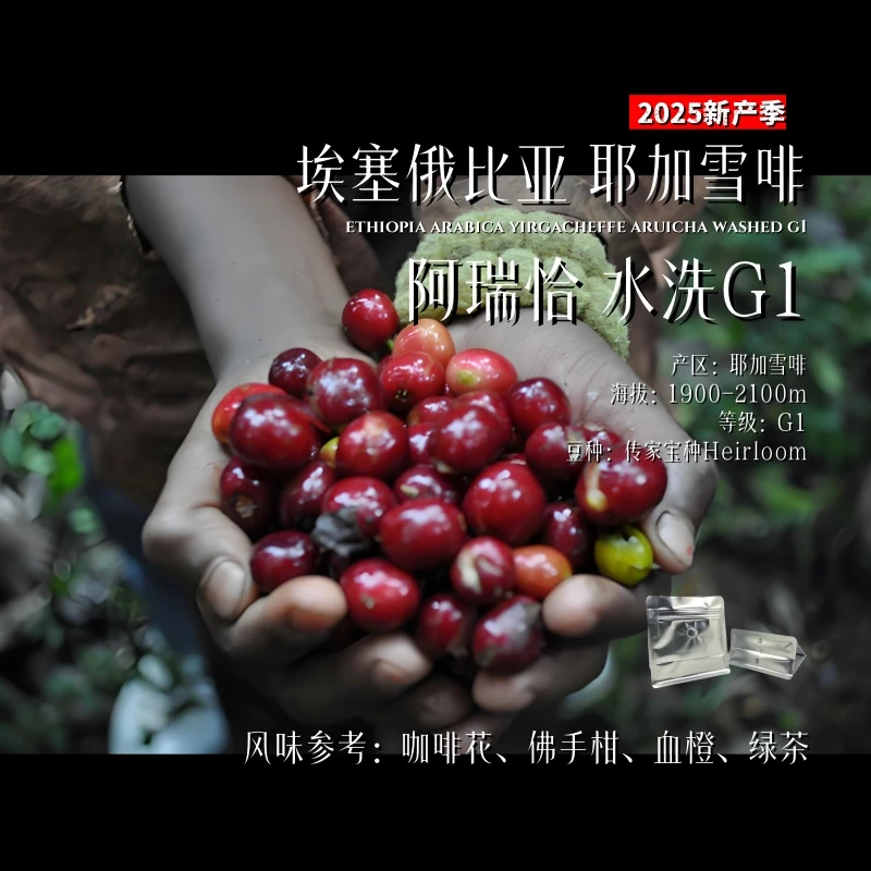 <25新品>埃塞俄比亚,耶加雪啡.阿瑞恰水洗G1,浅烘.精品手冲咖啡豆