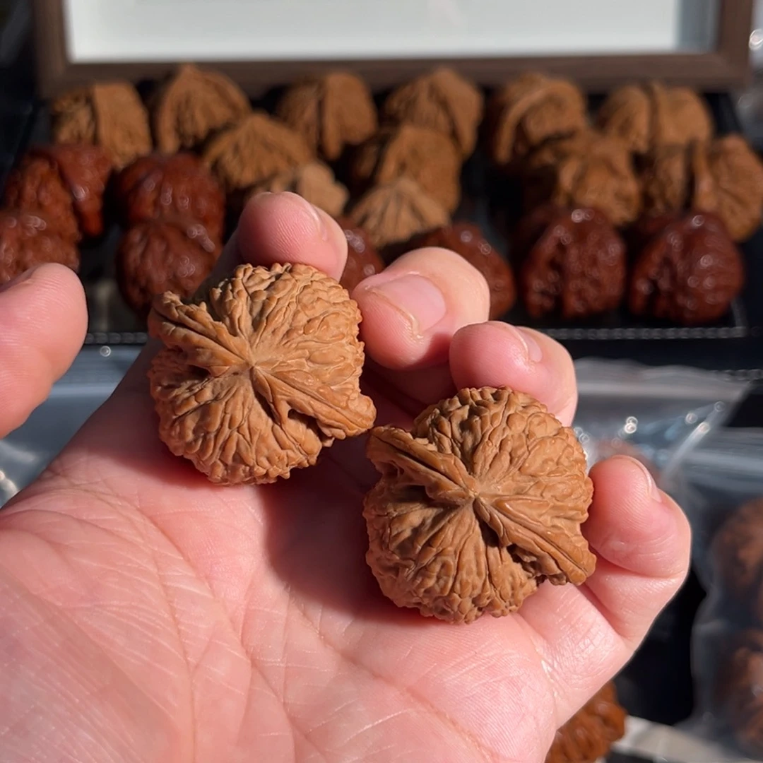 核桃手串/手链39全品球白