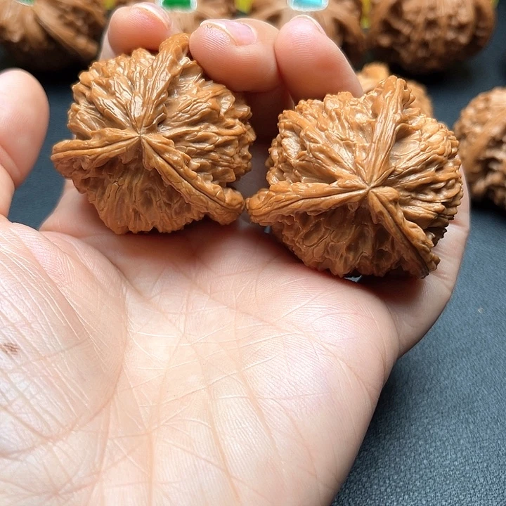 R***l核桃41尺白狮子拼接饶了你