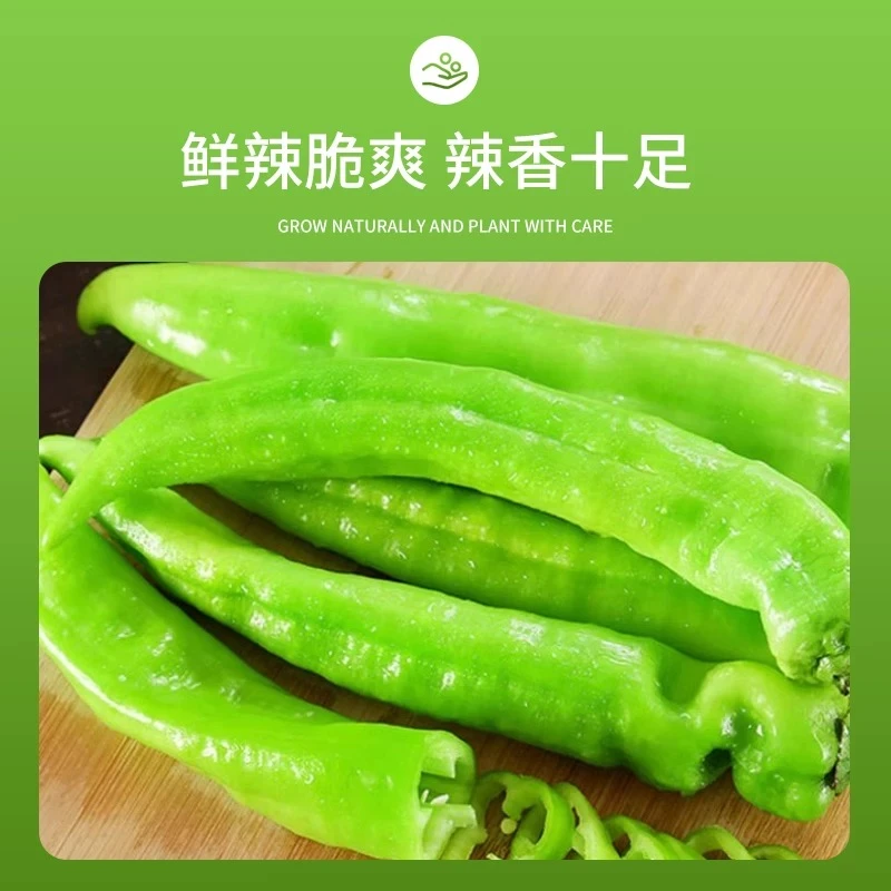 【供销助农现摘黄皮椒】河南农家新鲜微辣黄皮尖椒虎皮尖椒牛角椒