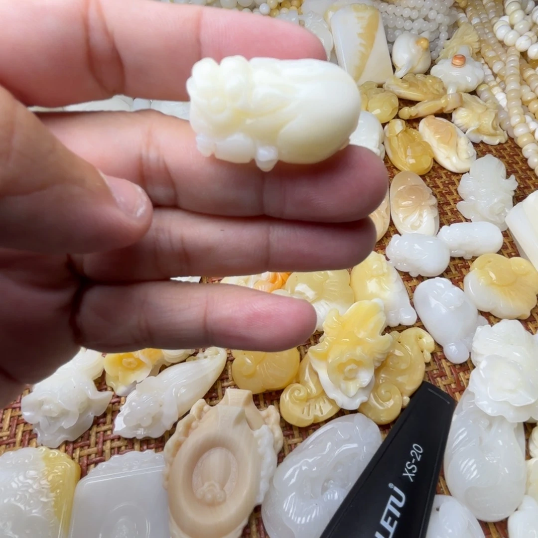 只***见贝壳非金属天然贝壳