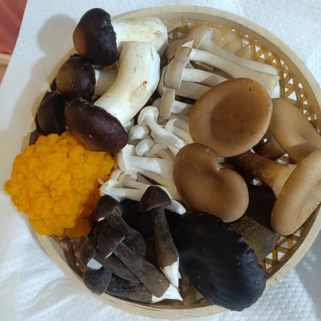 西-情七彩菌菇云南新鲜七种鲜菌菇组合山珍可爆炒煲汤顺丰