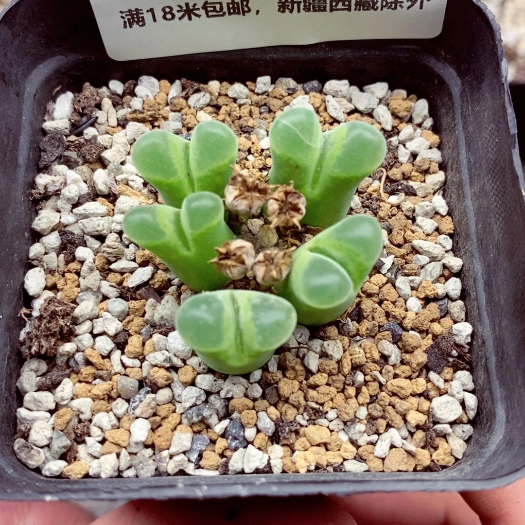 4912。