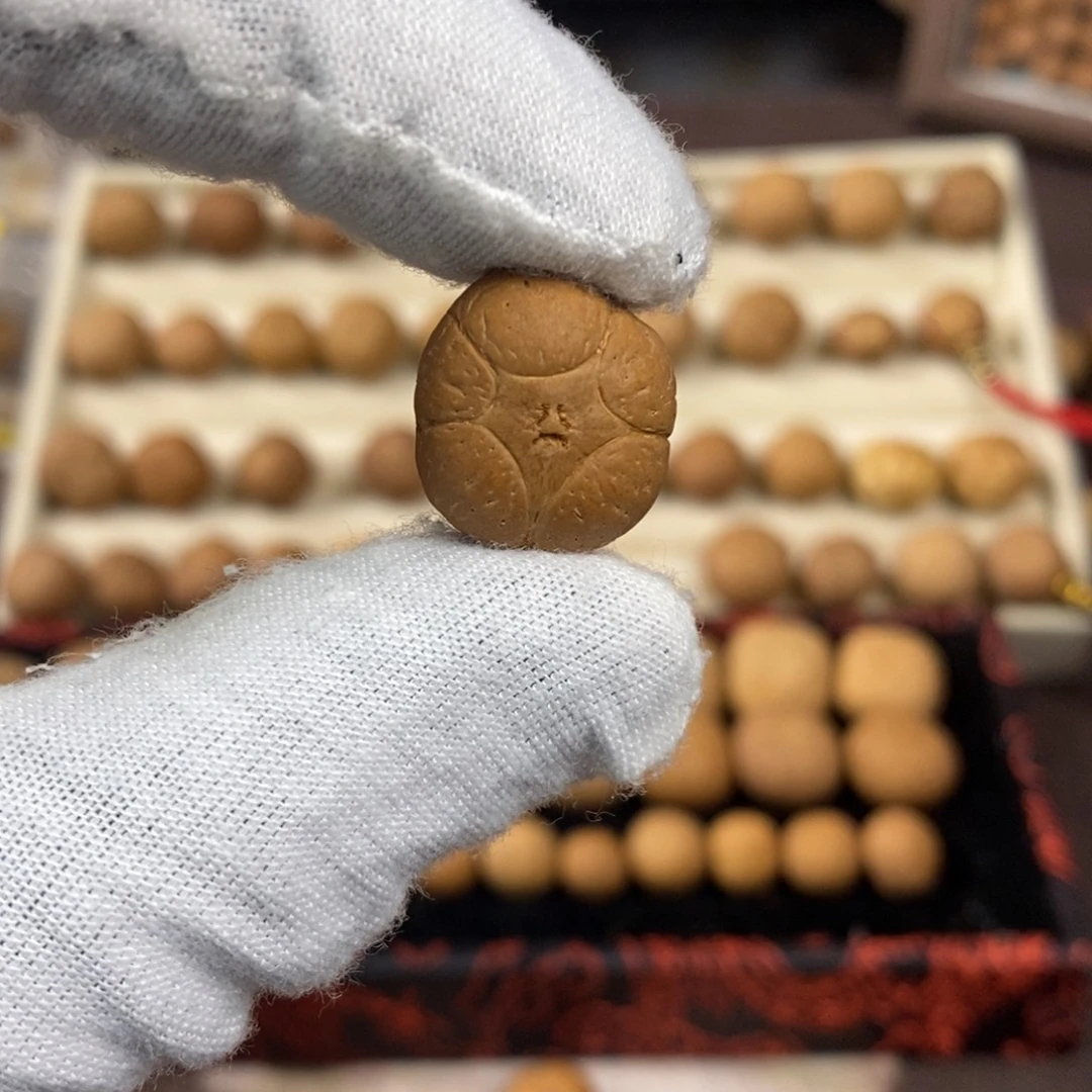 凤眼菩提吊坠15五星单颗