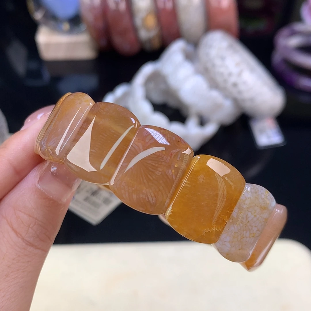 【闪购商品】颈饰未镶嵌硅化珊瑚（珊瑚玉）凤尾+虫纹+龙骨手牌（26号）