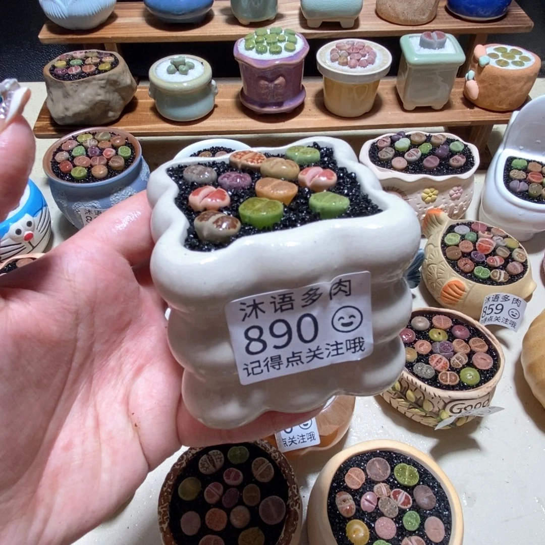 所见即所得 一物一拍890