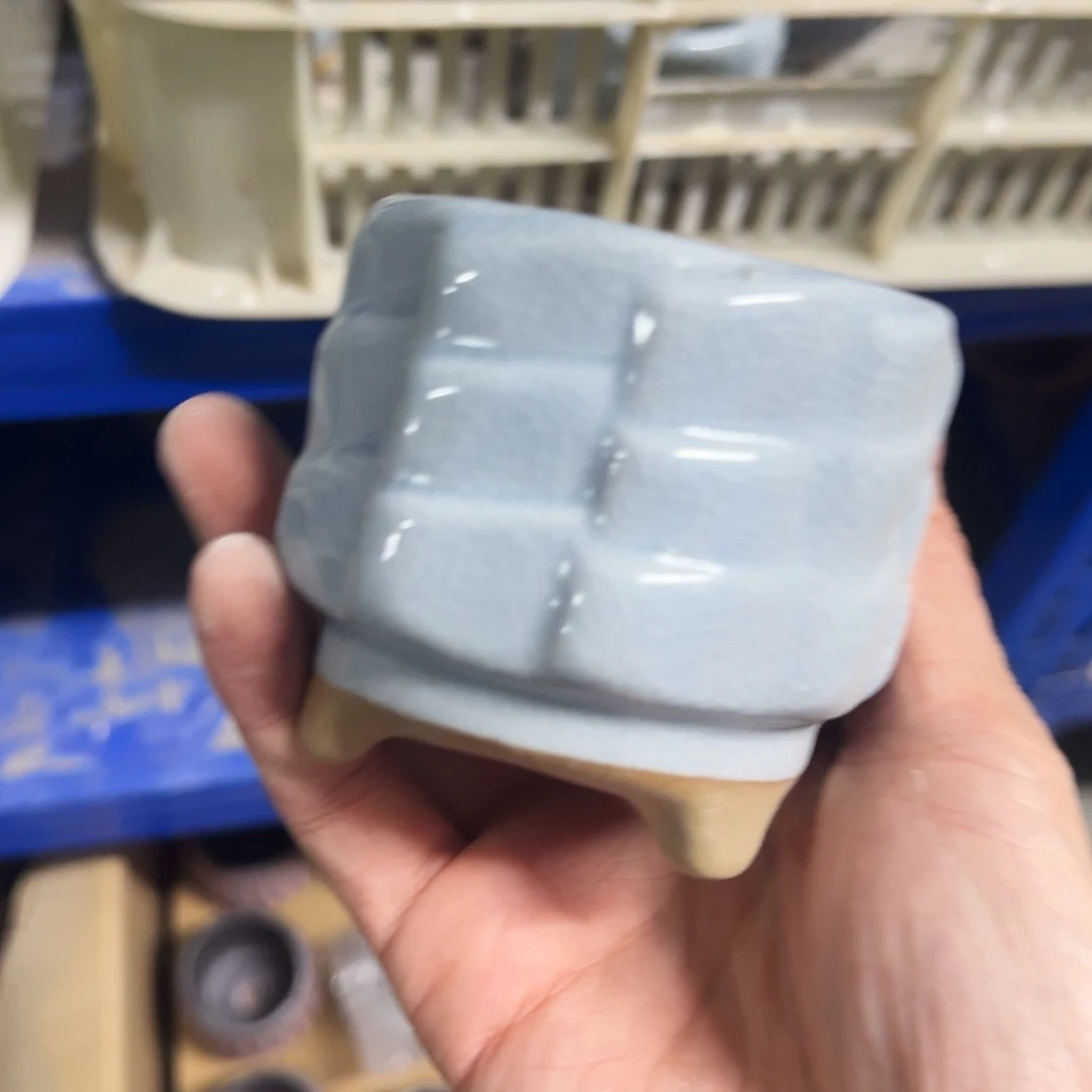 福利局绿植多肉盆［凑9元包邮24小时发］2057