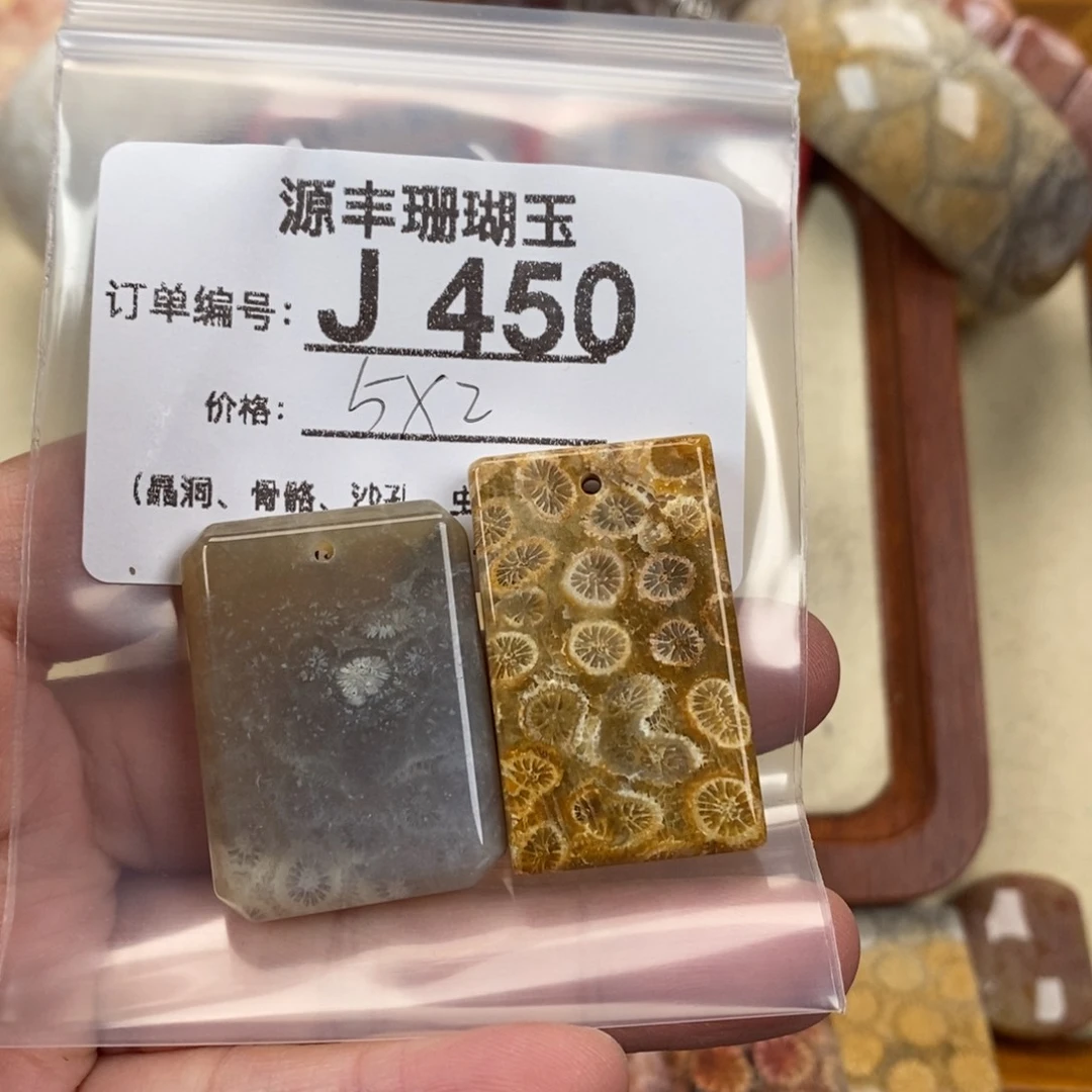 硅化玉颈饰未镶嵌郑