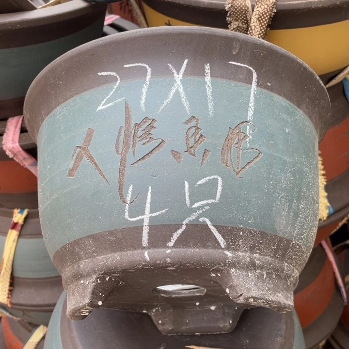 周深周深周深周深