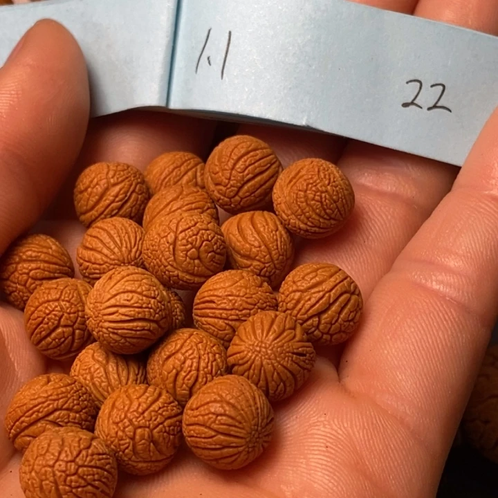 吊坠桃核陕西秦岭山桃核