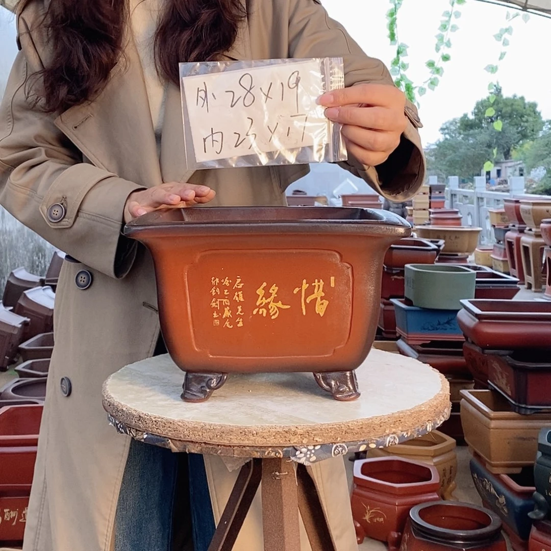 紫砂花盆紫砂花盆