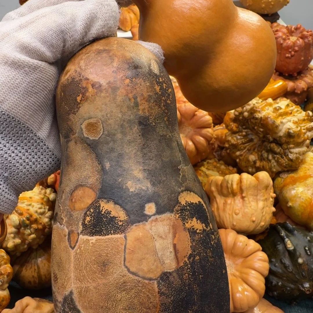 伊***麻墨西哥七彩葫芦摆件