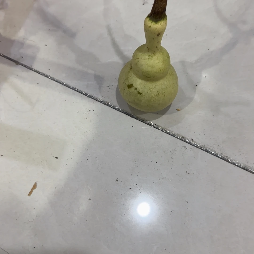 小***仔青皮不包成青皮不包成
