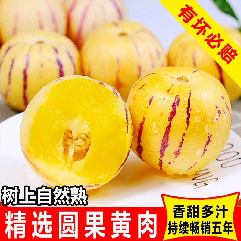 【顺丰快递】正宗云南石林人参果黄肉圆果树上熟新鲜清甜多汁水果