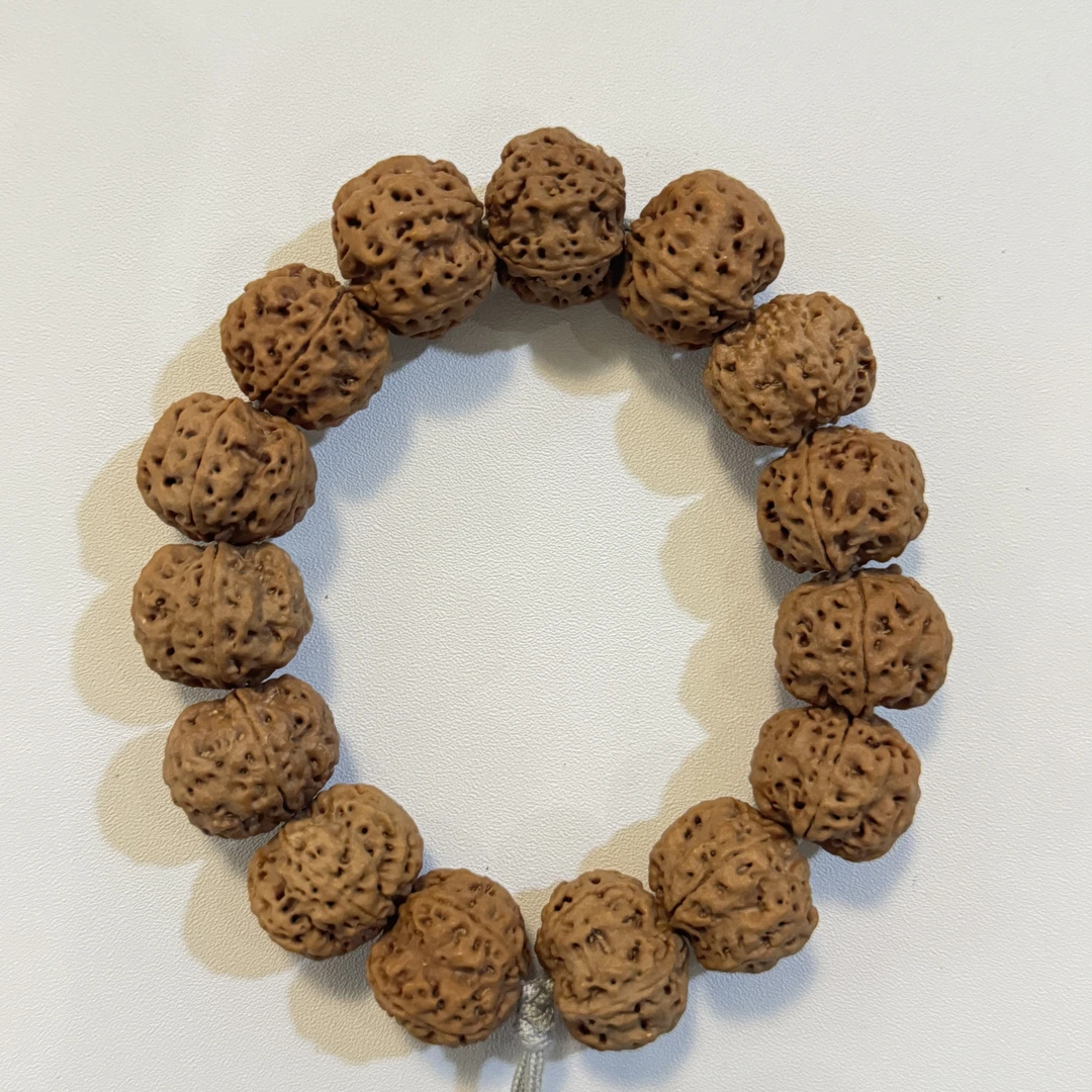 A17 矮桩爆肉蜂窝大金刚 2.3