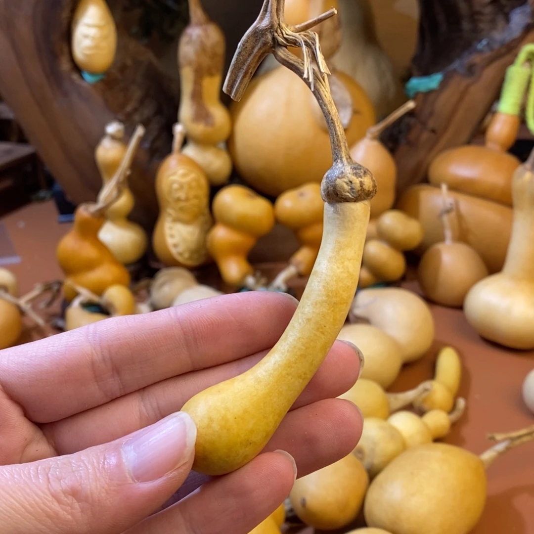 淳***安教练教练教练教练经理