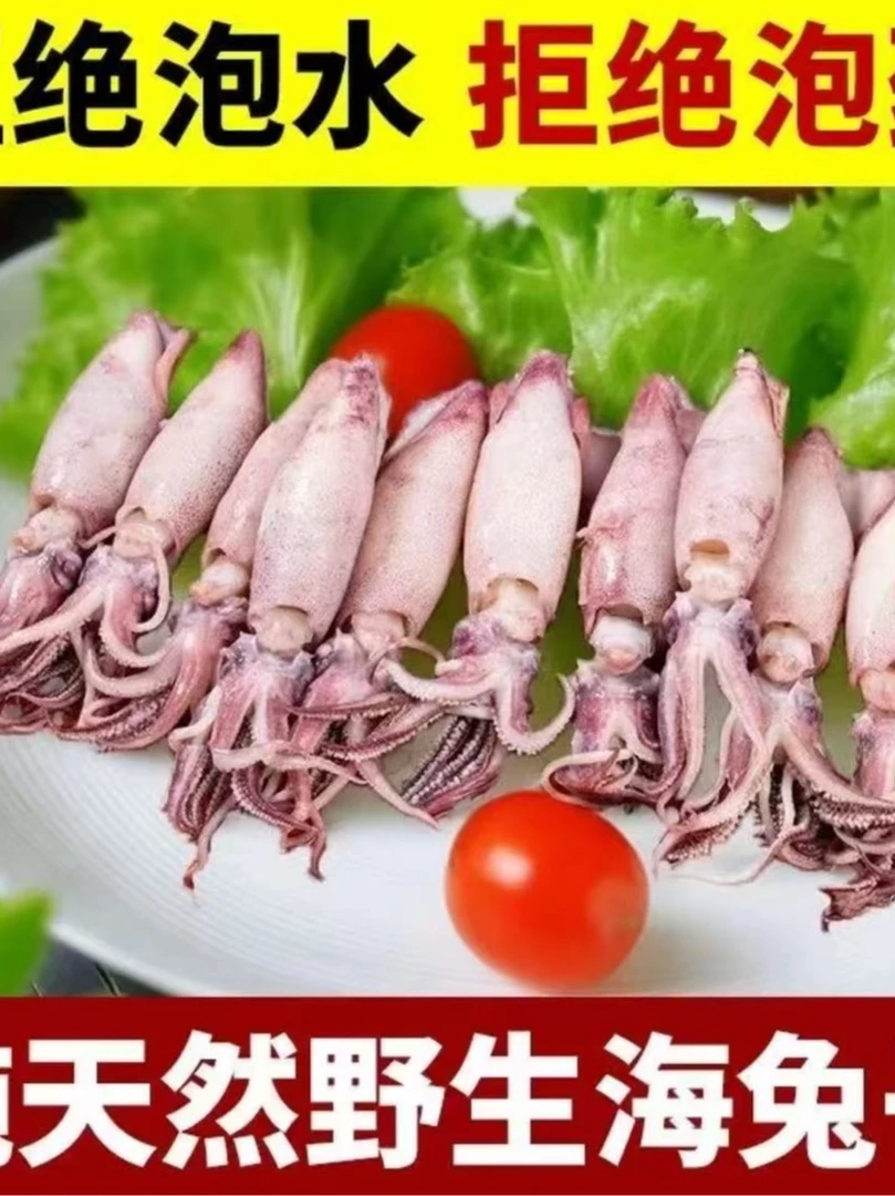 现捕现捞满籽海兔全籽籽乌速冻笔管鱼商用海鲜批发