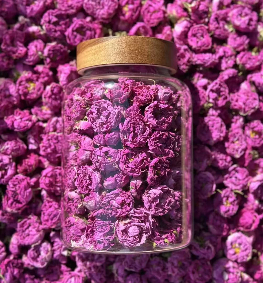格拉斯玫瑰  千叶玫瑰 玻璃罐装