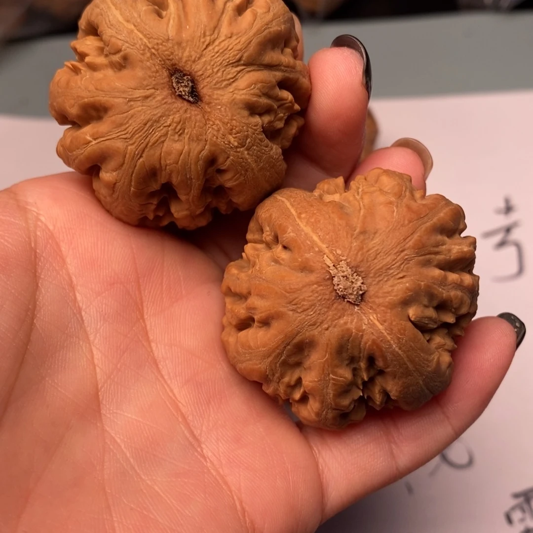 文玩核桃吊坠梅**酷霸王龙42