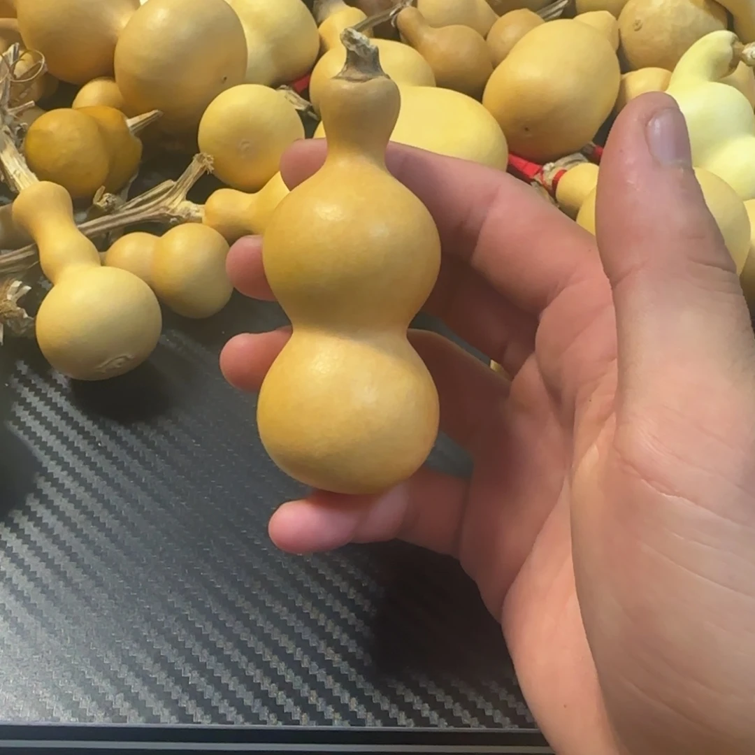 三醋酯纤维葫芦葫芦葫芦葫芦葫芦