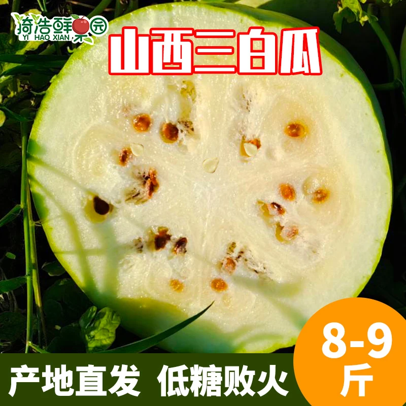 山西三白瓜特产白西瓜独有di糖低脂现摘现发6-10斤包邮di糖水果